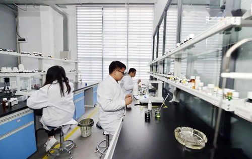 工業(yè)遺產(chǎn)蝶變記 昆明茨壩生物科技小鎮(zhèn)，打造生命科學(xué)新引擎