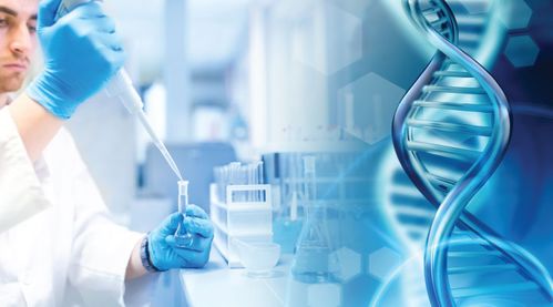 兩地生物科技合作 聯(lián)合發(fā)力，共筑生命科學(xué)新未來(lái)